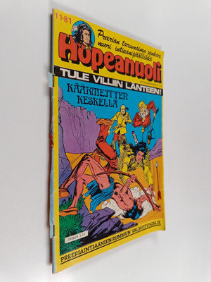 Hopeanuoli 11/1981