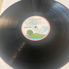 Ronnie Lane: Ronnie Lane’s Slim Chance 1975 LP - pikkukuva 4
