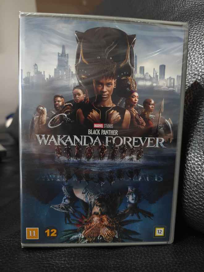 Black Panther: Wakand Forever (2022) DVD