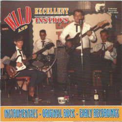 Various - Wild And Excellent Instros (CD)
