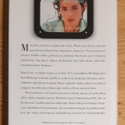 Sidney Sheldon - Kun taivas putoaa - pikkukuva 2