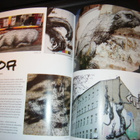 STREET ART from around the world ( GRAFFITI ) - pikkukuva 2