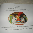 Stein Kukonpojan iltasatu - pikkukuva 4