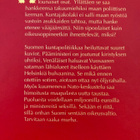 TIKKANEN: SIPOON RYÖSTÖ - pikkukuva 2
