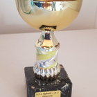 POKAALI 14 cm - pikkukuva 1