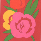 kortti ** Marimekko design Ishimoto Fujiwo - erilaisia - pikkukuva 1