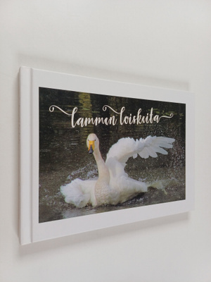 Oili Suutarinen : Lammen loiskeita