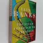 Iain Banks : The steep approach to Garbadale - pikkukuva 1