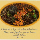 kortti ** Luonto - erilaisia runo- tai raamatunlausekortteja - pikkukuva 3