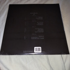 Duran Duran - Danse Macabre (LP) - pikkukuva 2