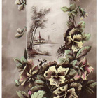 ORVOKKI / Runolliset orvokit ja maisemaidylli. 1900-l. - pikkukuva 2