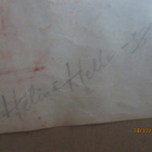 Helena Helle --78/ 3 nais luonnosta - pikkukuva 3