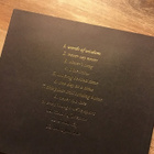 Desiree saarela . This place and coming home CD - pikkukuva 2