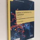 Ursula Huws : Labour in Contemporary Capitalism : What Next? - pikkukuva 1