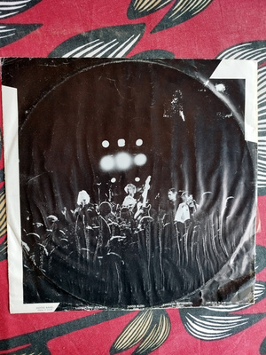 The Radio: Black Paint White Colour Vinyyli LP