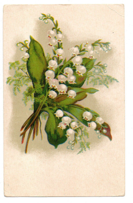 Vanha kortti, kielot