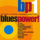 The Radiomafia Roots Evening Sessions Vol. 1 (2000) CD - pikkukuva 1