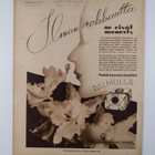 Suomen kuvalehti 24/1937 - pikkukuva 2