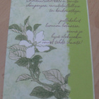 Kukkakortti kulkematon Paletti - pikkukuva 1