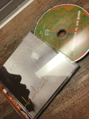 Del the funky homosapien . Both sides of the brain CD
