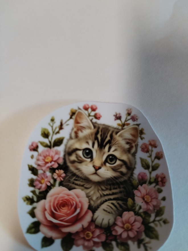Suloinen kissa tarra.