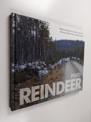 Reindeer