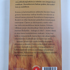Nora Roberts : Avaimet onneen - pikkukuva 2