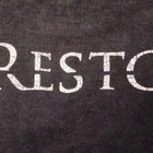 All Restored : Logo - paita - pikkukuva 3