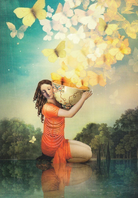 Catrin Welz-Stein: Kupillinen perhosia