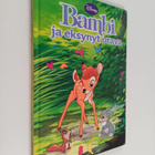 Bambi ja eksynyt orava - pikkukuva 1