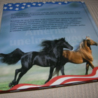 Amerikan unelmahevoset - pikkukuva 5