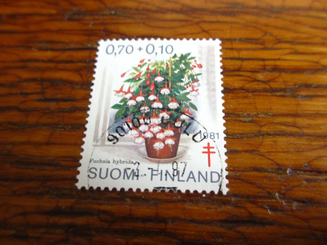 suomi pk 0,70 + 0,10 pr 1981 ruukkukukka