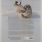 Juha Taskinen : Jää hyvin, saimaannorppa (signeerattu, te... - pikkukuva 2