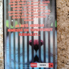 Kissa Häkissä (Cat in the Cage) VHS – Harvinainen Suomi-vuok - pikkukuva 2