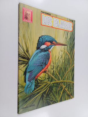 Pintemos los pajaros