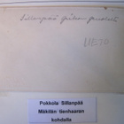 VANHA Postikortti Lieto Pokkola 1920-l - pikkukuva 3