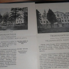 Tiedonantoja Tylsämielisten hoitola / Kaatumatautis. 26/7 - pikkukuva 1