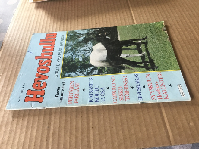 HEVOSHULLU 17/1983 HYVÄ