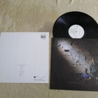 PET SHOP BOYS - Actually LP - pikkukuva 2
