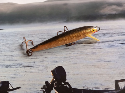 Rapala salmiakki foliolla