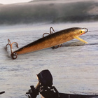 Rapala salmiakki foliolla - pikkukuva 1