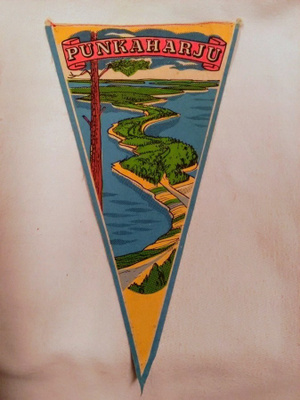 Viiri Punkaharju