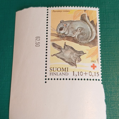 PUNAINEN RISTI . Katso kuvaus.