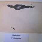 VANHA Postikortti Lieto Hietarinta 1920-l - pikkukuva 2