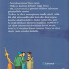Sally Altschuler: Myrskyävällä merellä - pikkukuva 2