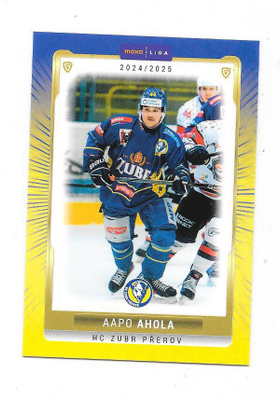 2024-25 Tsekki 2.liga #28 Aapo Ahola HC Prerov ex Pelicans
