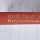 Hyvät, pahat ja hyvinkääläiset- Anu Lahtinen - pikkukuva 2