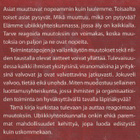 Mika Mannermaa: Jokuveli - pikkukuva 3