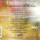 WATERBOYS - APPOINTMENT - pikkukuva 2