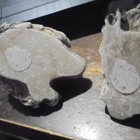 2 x pöllö pienet figuurit - pikkukuva 4
